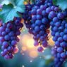 resveratrol for skin
