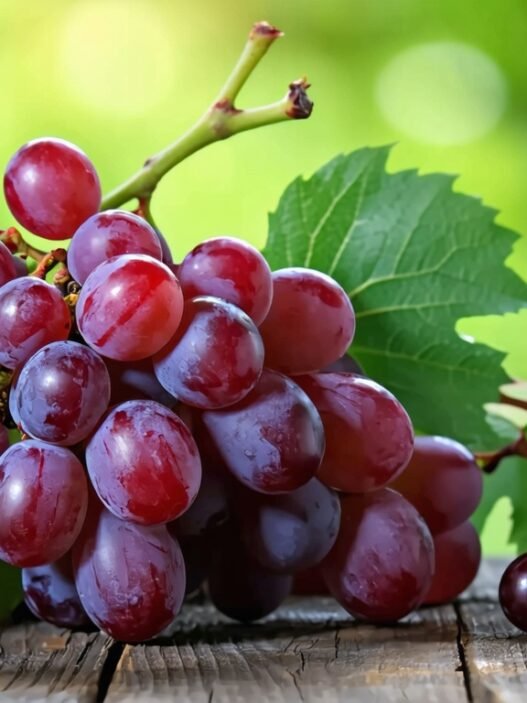 resveratrol for diabetes