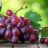 resveratrol for diabetes