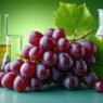 resveratrol research