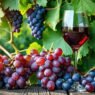 resveratrol for heart health