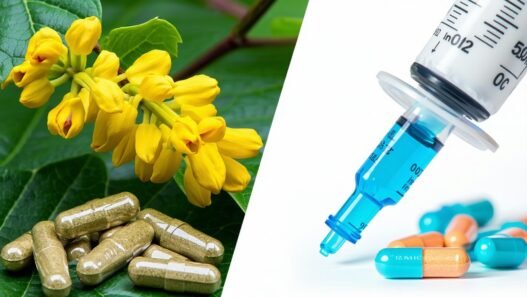 is berberine like ozempic?