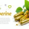 what happens if you take berberine for too long?